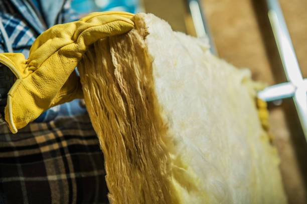 Best Spray Foam Insulation in Signal Hill, CA